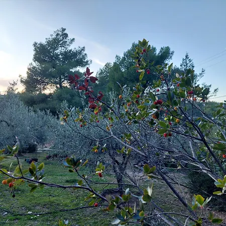Βίλα Irini Πόρτο Χέλι