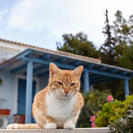 Villa Irini *
