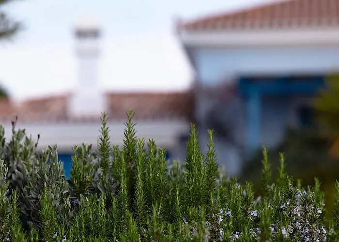 伊里尼别墅 * 波多河丽