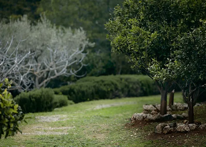 伊里尼别墅 别墅 *