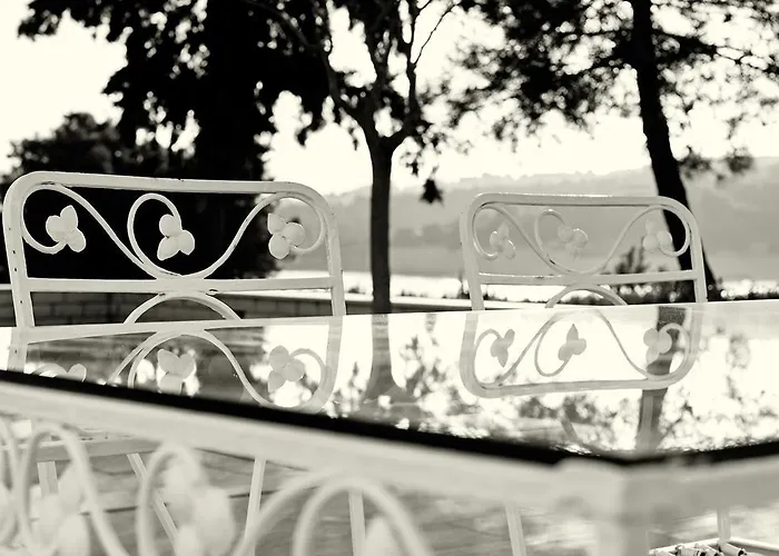 伊里尼别墅 别墅 *